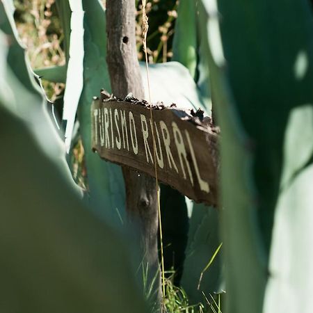 Hosteria Rural Viejo Roble San Rafael  Zewnętrze zdjęcie