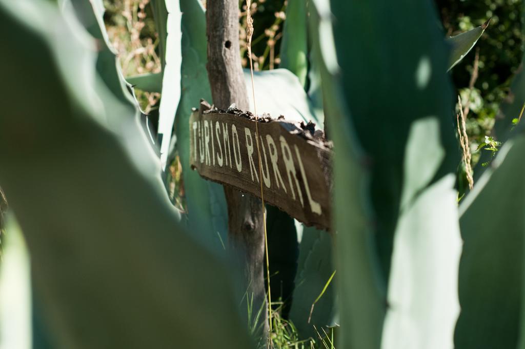 Hosteria Rural Viejo Roble San Rafael  Zewnętrze zdjęcie