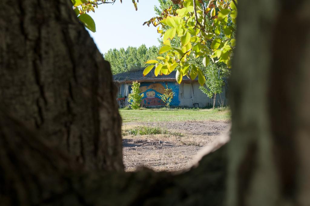 Hosteria Rural Viejo Roble San Rafael  Zewnętrze zdjęcie