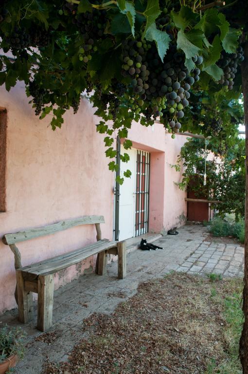 Hosteria Rural Viejo Roble San Rafael  Zewnętrze zdjęcie